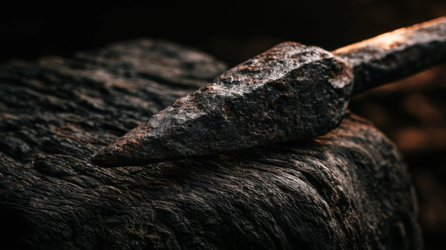 A dramatic, extreme close-up photograph of an ancient, hand-forged iron spearhead resting on a block of deeply scarred, dark weathered oak. The heavy, pitted texture of the rusted metal is illuminated by a single warm shaft of light against a moody, shadowed background. This rugged, historical artefact perfectly evokes the hidden lore and enduring heritage craftsmanship that inspires Caracoda Equestrian.